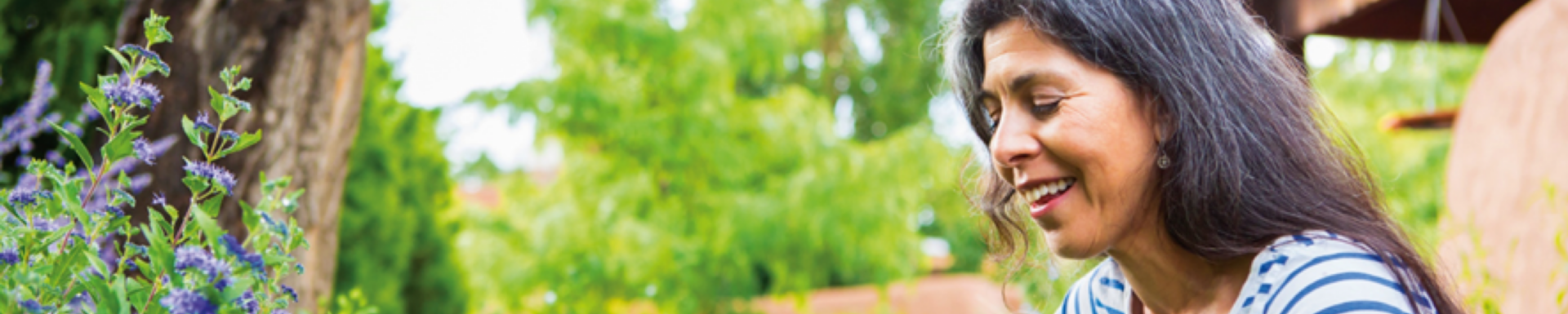 Img Alt - Mobile header